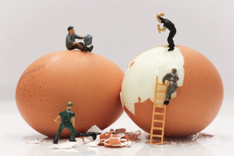 Die faszinierende Welt der Miniaturfotografie